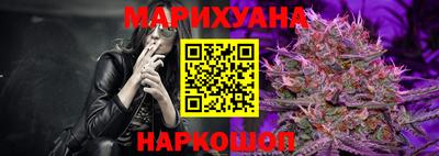 стаф Будённовск