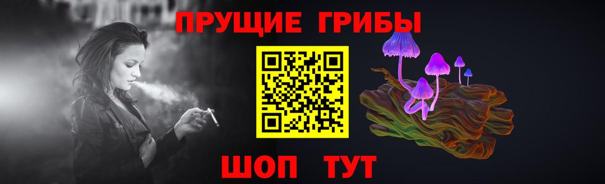 Заводоуковск  как найти   Вход с VPN  Галлюциногенные грибы прущие грибы  Галлюциногенные грибы ЛСД 
